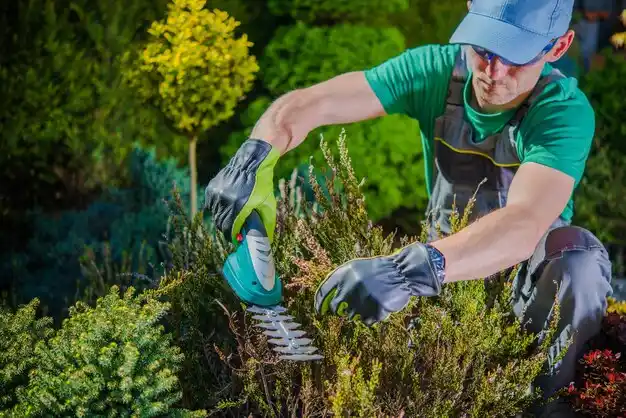 landscaping services East Atlantic Beach